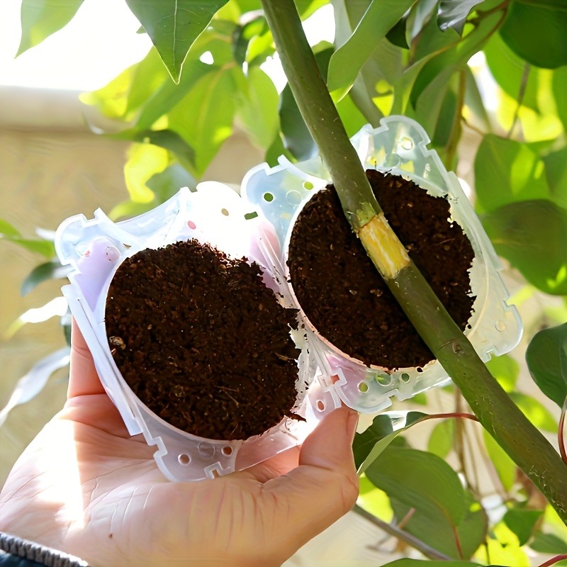 10-delige hogedruk plantenwort - Plant Parenting recensie en prijs